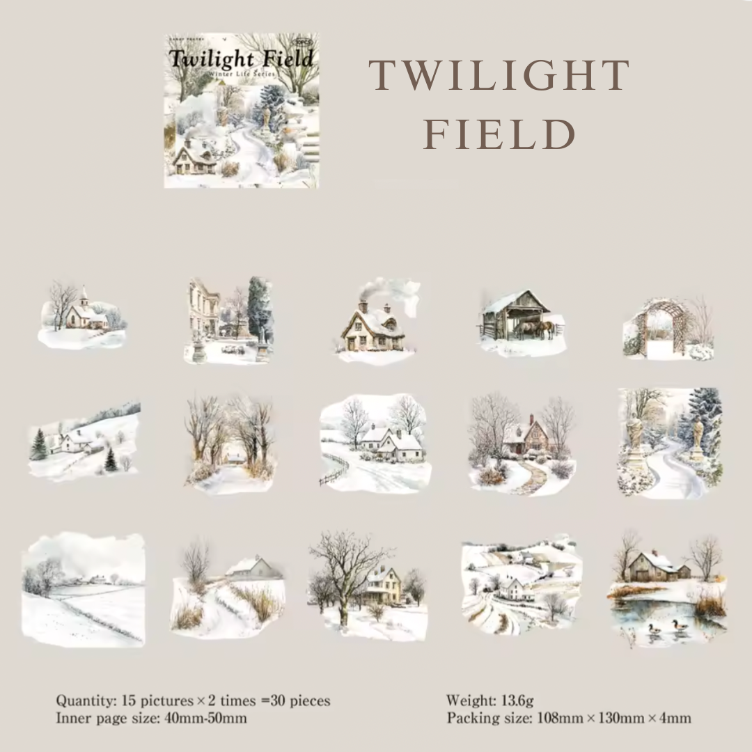 30 Pcs Snowy Winter Nature Stickers