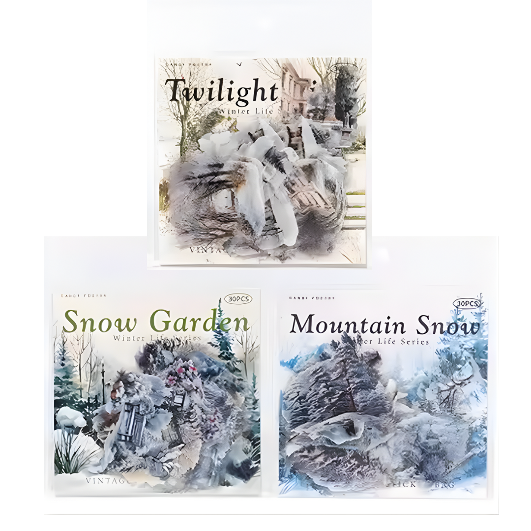 30 Pcs Snowy Winter Nature Stickers