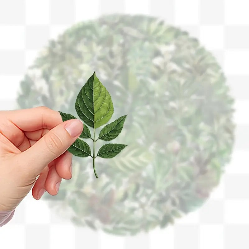 50 Pcs Seasonal Leaves PET Stickers
