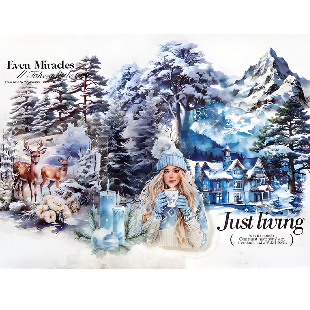 30 Pcs Snowy Winter Nature Stickers