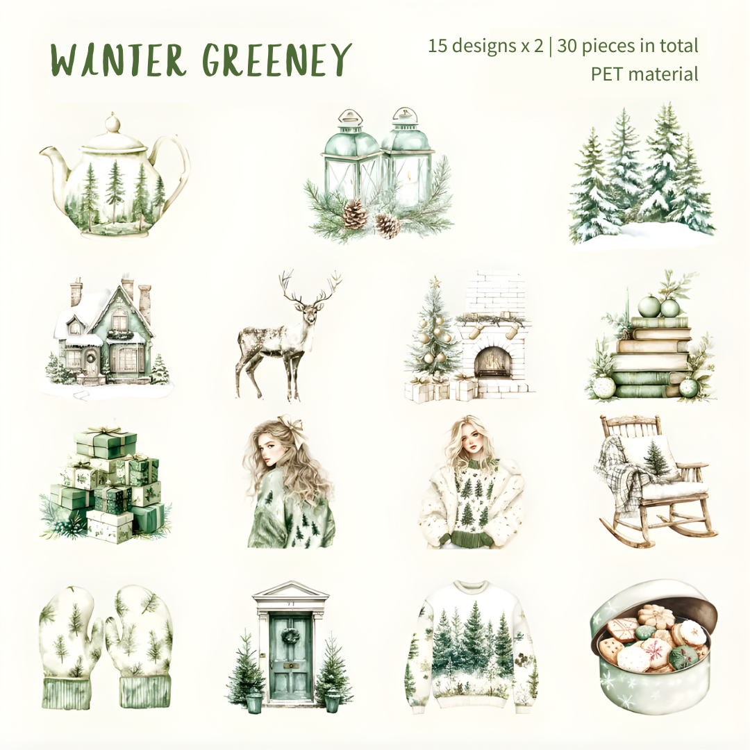 30 Pcs Cold Winter Scenes PET Stickers