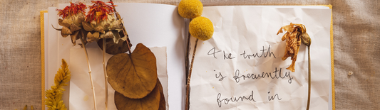 Cosy Autumn Crafting: 3 Ideas to Inspire Your Seasonal Creativity