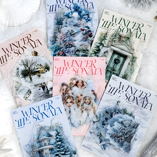 30 Pcs Cold Winter Scenes PET Stickers