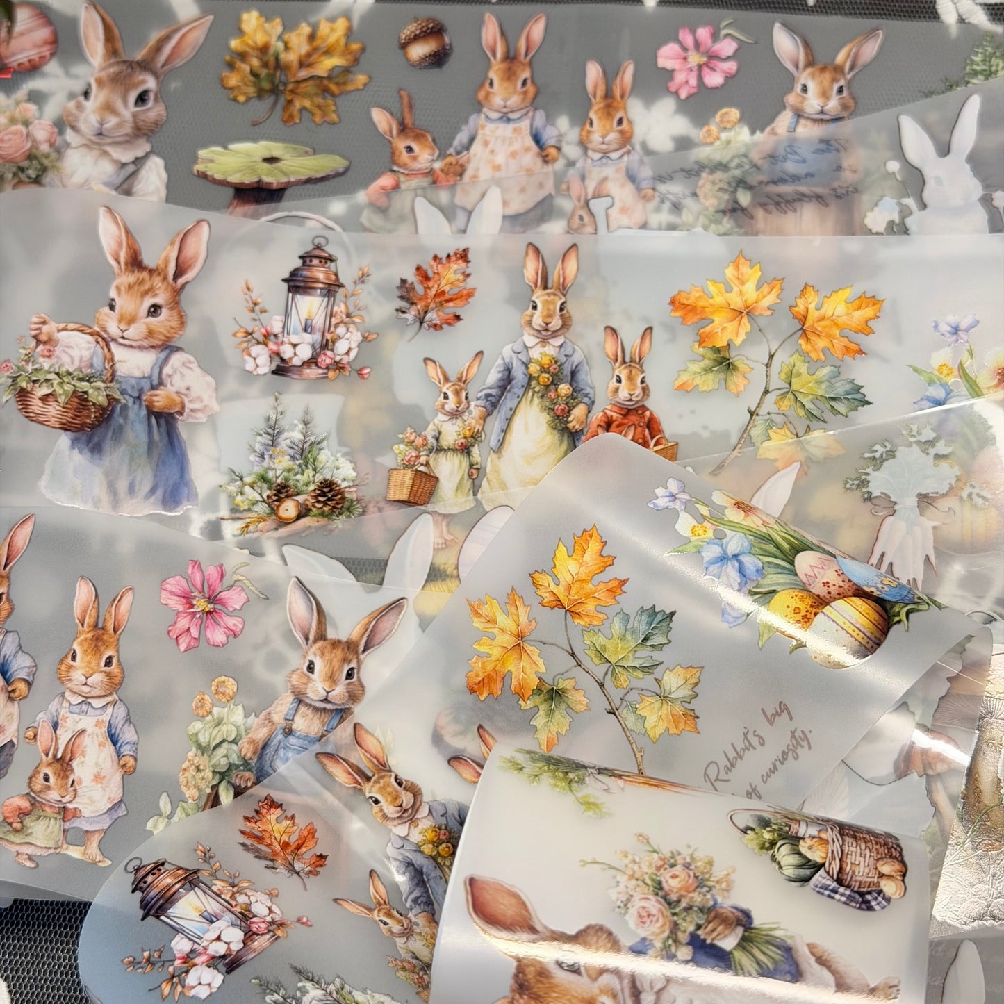 2m Spring Bunny PET Tape